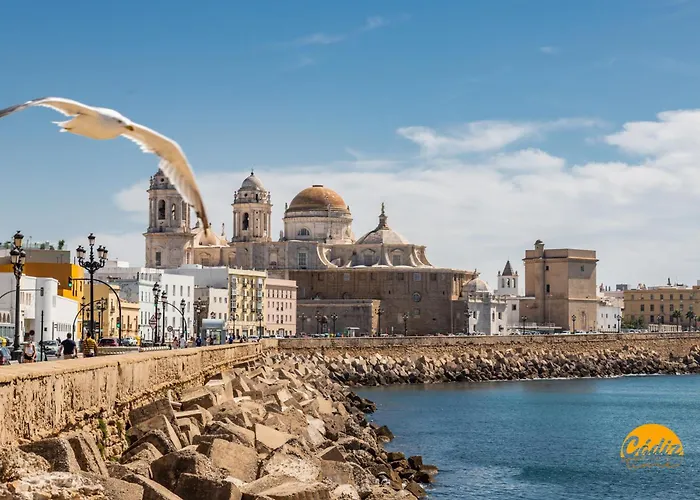 Casa Del Pescador By Livework Lejlighed